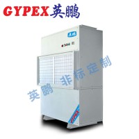 徐州廠(chǎng)房耐高溫除濕機(jī)YPNG-7