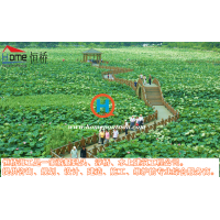 景觀浮橋設(shè)計(jì)，安裝，生產(chǎn)，批發(fā)，供應(yīng)