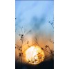 真相揭露！carran不正規(guī)！慧空清風(fēng)坑我?guī)资f虧損真相揭露