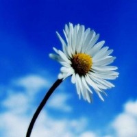 警惕盛世創(chuàng)富不正規(guī)！老師直播喊單騙局揭露！揭露虧損真相內(nèi)幕