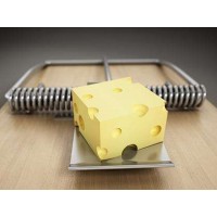 Admins虧損怎么辦？Admins被騙追回資金全過程！