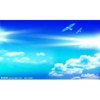 撮合網(wǎng)是正規(guī)的平臺？撮合寶被騙者揭開虧損真相