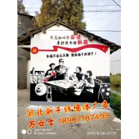 黃石鄉(xiāng)村文化墻彩繪、黃石3D畫立體地面彩繪、黃石店招墻體公司