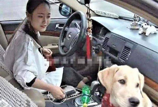 女司機(jī)注意了！往后副駕駛放這個(gè)，交警查到扣3分罰款200元