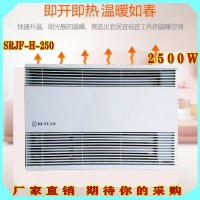 對流式加熱器 室內(nèi)取暖設(shè)備 節(jié)能耐用電暖器