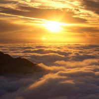 曝光！sunshine正規(guī)嗎？不為人知內(nèi)幕真相揭秘