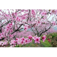 大德匯富正規(guī)嗎？虧損慘重內幕大曝光！本人親身經歷揭露騙局！