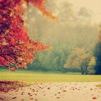 真相揭露u財?shù)勒?guī)靠譜嗎？騙局揭秘坑我?guī)资f!難友速來