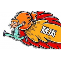 包頭稀土交易所老師帶單瘋狂圈錢？被騙爆倉虧損速度來追。