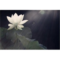 新紀元期貨被騙虧損真相騙局曝光，受害者真實經(jīng)歷大揭秘。