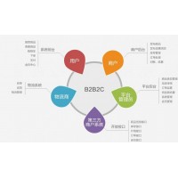 到底什么是B2B2C呢？