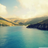 海農(nóng)中藥材正規(guī)嗎？是騙局嗎？跟上老師操作竟然虧損一敗涂地！