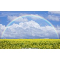 揭穿海鴻源APP不正規(guī)！被騙虧損無法出金！揭露真相本人親歷