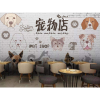 全國(guó)寵物店電話(huà)聯(lián)系方式軟件