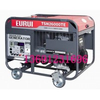 原裝日本進(jìn)口東洋發(fā)電機TSN26000TE