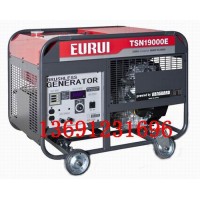原裝日本進(jìn)口東洋汽油發(fā)電機TSN19000E