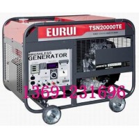 原裝日本進(jìn)口汽油發(fā)電機TSN20000TE