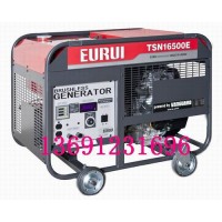 原裝進(jìn)口汽油發(fā)電機TSN16500E