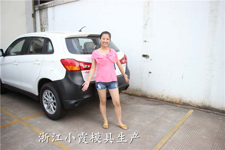 汽車(chē)模具 (80)