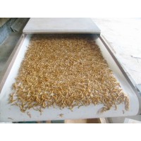 微波黃粉蟲膨化干燥設備、食品微波干燥設備