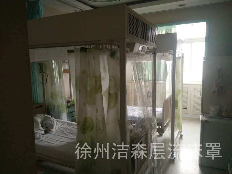 層流床
