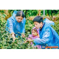蘇州青少年社會(huì)實(shí)踐戶(hù)外拓展自然探索春日親子采茶體驗(yàn)活動(dòng)報(bào)名中